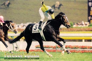 【クリックで詳細表示】ジグソー 最強牝馬伝説 ウォッカ 1000ピース(11-358)[エポック]《在庫切れ》