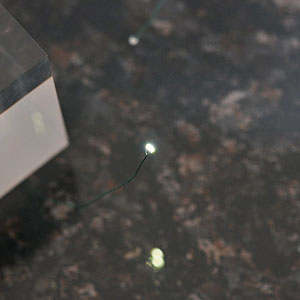 【クリックで詳細表示】ワンタッチLEDシリーズ 超小型LEDランプ高輝度ホワイト(1個入)[ハイキューパーツ]《04月予約》