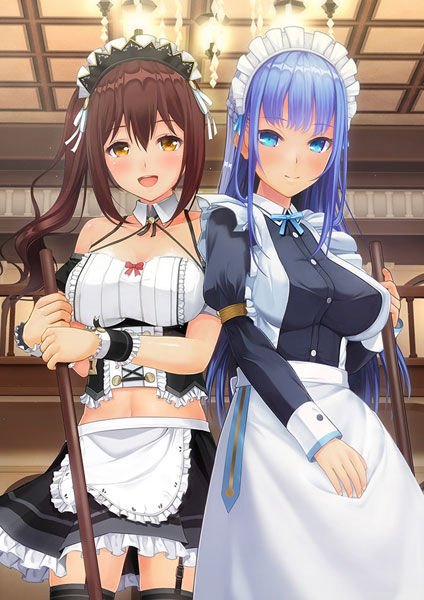 PCソフト カスタムオーダーメイド3D2 FC with CR EditSystem