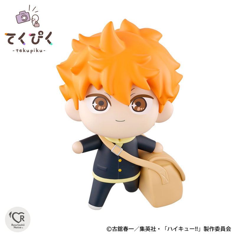 TakePic Shoyo Hinata 