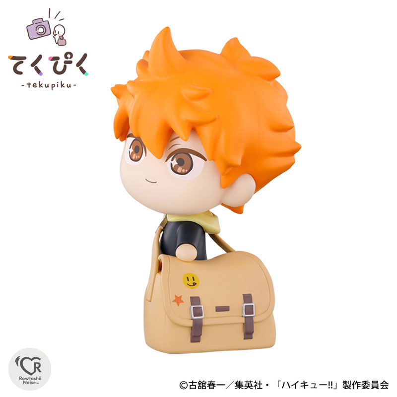 TakePic Shoyo Hinata 