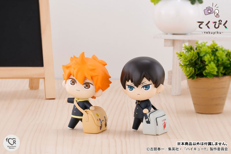 TakePic Shoyo Hinata 