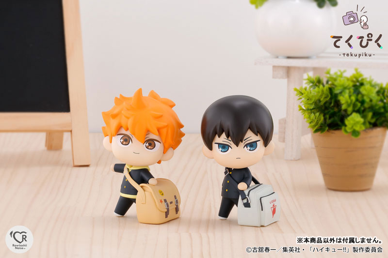 TakePic Shoyo Hinata / Tobio Kageyama Set of 2 Types 