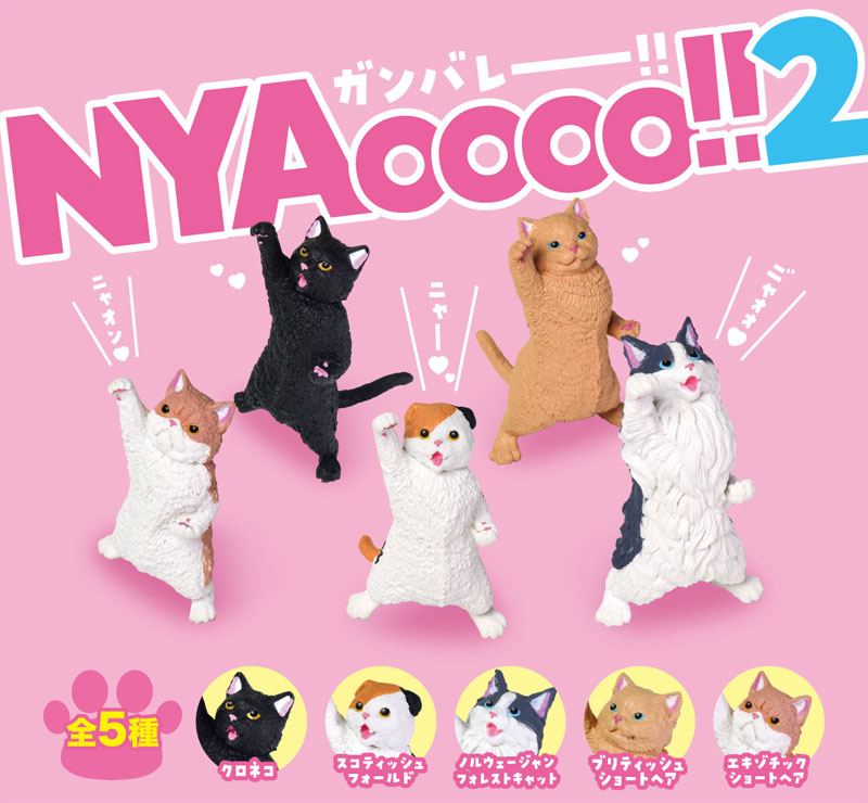 NYAoooo!! 2 10Pack BOX(Pre-order)Accessory