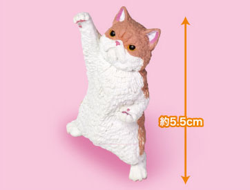 NYAoooo!! 2 10Pack BOX(Pre-order)Accessory