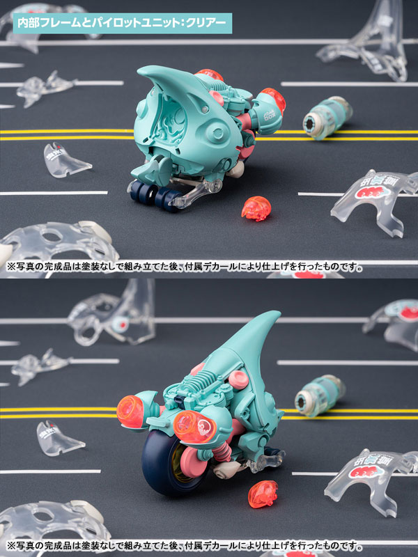 LUNCH BOX Dynastes Clear Plastic Model(Pre-order)Accessory