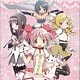 Puella Magi Madoka Magica Trading Card BOX