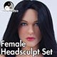 Triad Toys - Female Headsculpt Set: Raven
