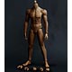 黒人男性 1/6 シームレス素体 単品