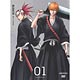 DVD BLEACH Season 15: Gotei 13 Invading Army Vol.1