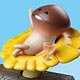 Touch Detective Mushroom Garden - Sitting Funghi Figure