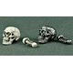 White & Silver Color 1/6 Skull Set