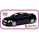 LUXURY Resin Model Car 1/43 Cadillac CTS-V Coupe 2011 (Black Raven)