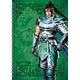 Dynasty Warriors 7 - A5 Spiral Notebook: Shoku