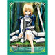 Bushiroad Sleeve Collection HG Vol.389 Fate/Zero - Saber Part.2 Pack