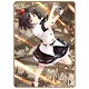 Touhou Project Card Sleeve 