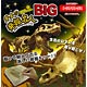 Golden Excavation Master Big - Triceratops