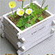 Paper Craft Wood Planter A Set (w/Soil, Moss)