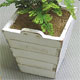 Paper Craft Wood Planter B Set (w/Soil, Moss)