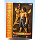 ONE PIECE DX Figure -Title of The D- Part.2 Portgas D. Ace (Game-prize)