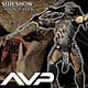 AVP Statue Scar Predator (Single Shipment)
