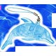 3D Puzzle - Colorful Dolphin (Clear Blue) 15pcs (44-717)