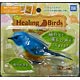 Aichou Club Healing Bird 01 