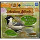 Aichou Club Healing Bird 03 