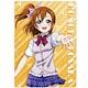 Love Live! - Cleaner Cloth: Honoka Kosaka