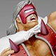 Character Figures