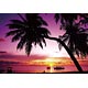 Jigsaw Puzzle - Tropical Sunset 300psc (73-191)(Preorder)