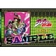 JoJo's Bizarre Adventure Part.II Setting Collection (Book)