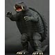 Daikaiju Series Daiei Tokusatu Arc - Gamera 1966 Partial Assembly Required Complete Figure