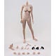 1/6 女性素体 ジョイントシームレス
