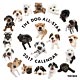 THE DOG ALL-STAR 2017年カレンダー