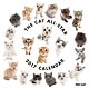 THE CAT ALL-STAR 2017年カレンダー