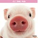 THE PIG 2017年カレンダー