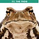 THE FROG 2017年カレンダー