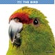 THE BIRD 2017年カレンダー