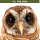 THE OWL 2017年カレンダー