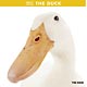 THE DUCK 2017年カレンダー