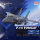 1/72 F-14A トムキャット 第14戦闘飛行隊 “トップ・ハッターズ 創隊80周年記念塗装”