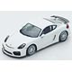 1/43 Porsche Cayman GT4 Clubsport 2017