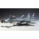 1/48 F-15B/D イスラエル空軍/アメリカ空軍 プラモデル