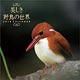 美しき野鳥の世界 2018年カレンダー
