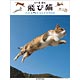 飛び猫 2018年カレンダー