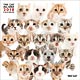THE CAT ALL-STAR 2018年カレンダー