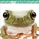 THE FROG 2018年カレンダー