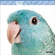 THE BIRD 2018年カレンダー
