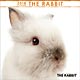 (ミニ)THE RABBIT 2018年カレンダー